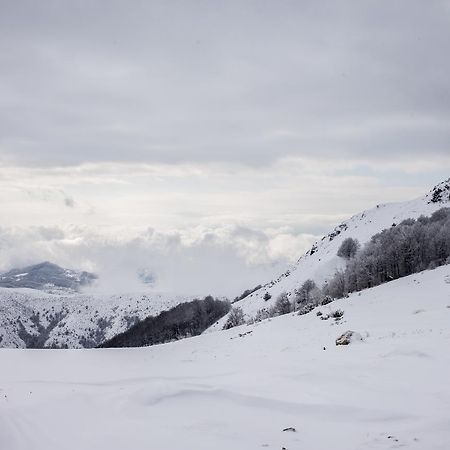 Holiday Home Floris Kopaonik Kültér fotó