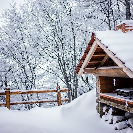 Holiday Home Floris Kopaonik Kültér fotó