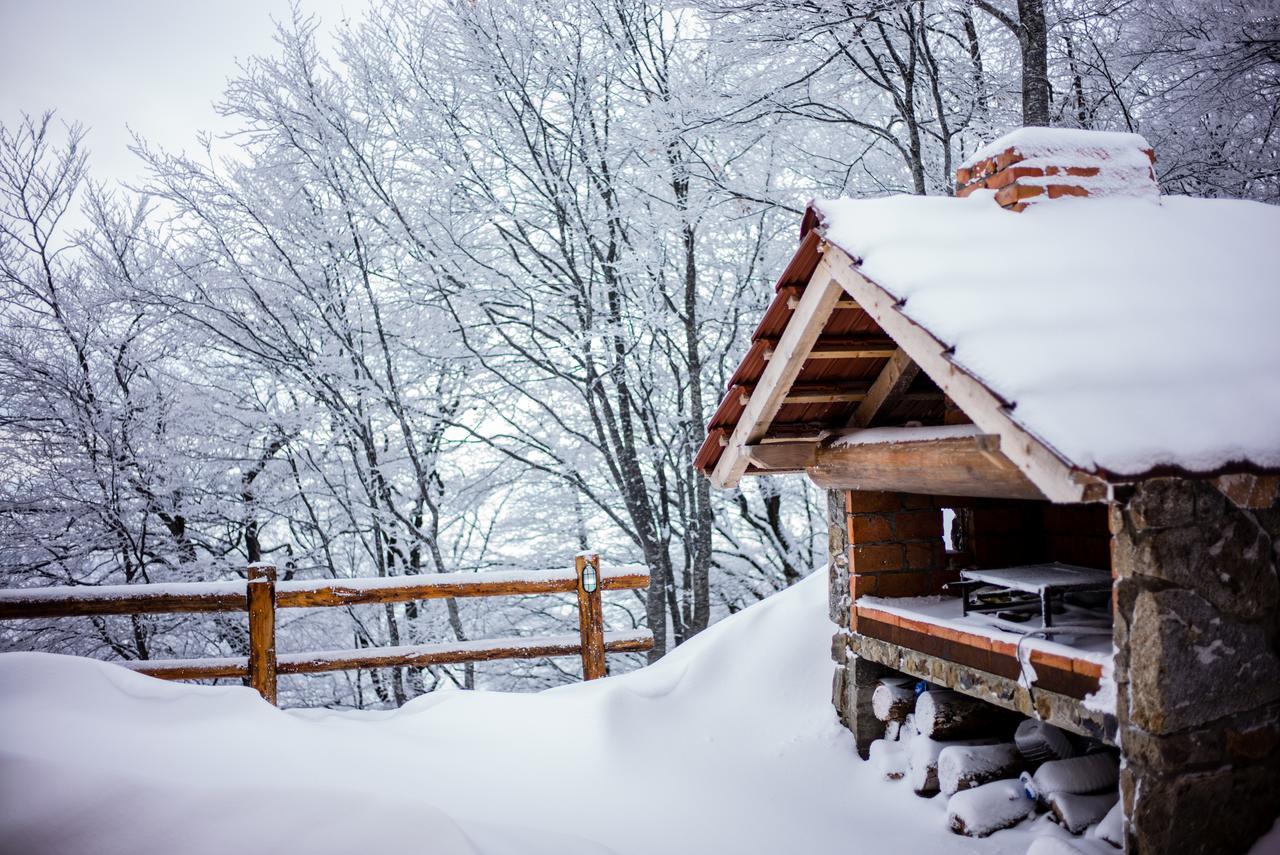 Holiday Home Floris Kopaonik Kültér fotó